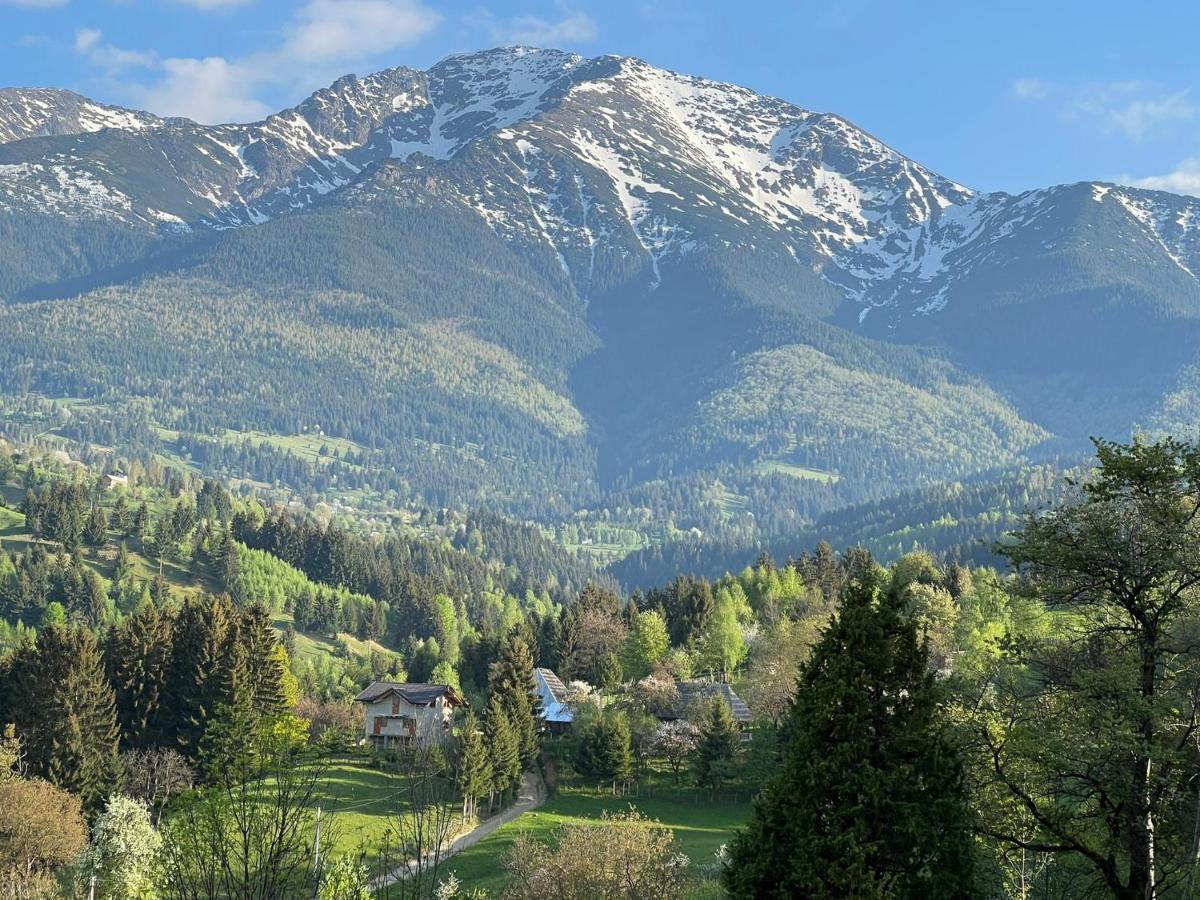 Villa La Bujda Lu Mosu Borşa Esterno foto