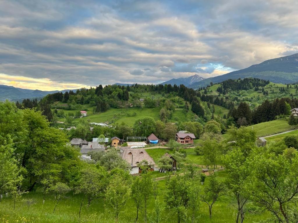 Villa La Bujda Lu Mosu Borşa Esterno foto