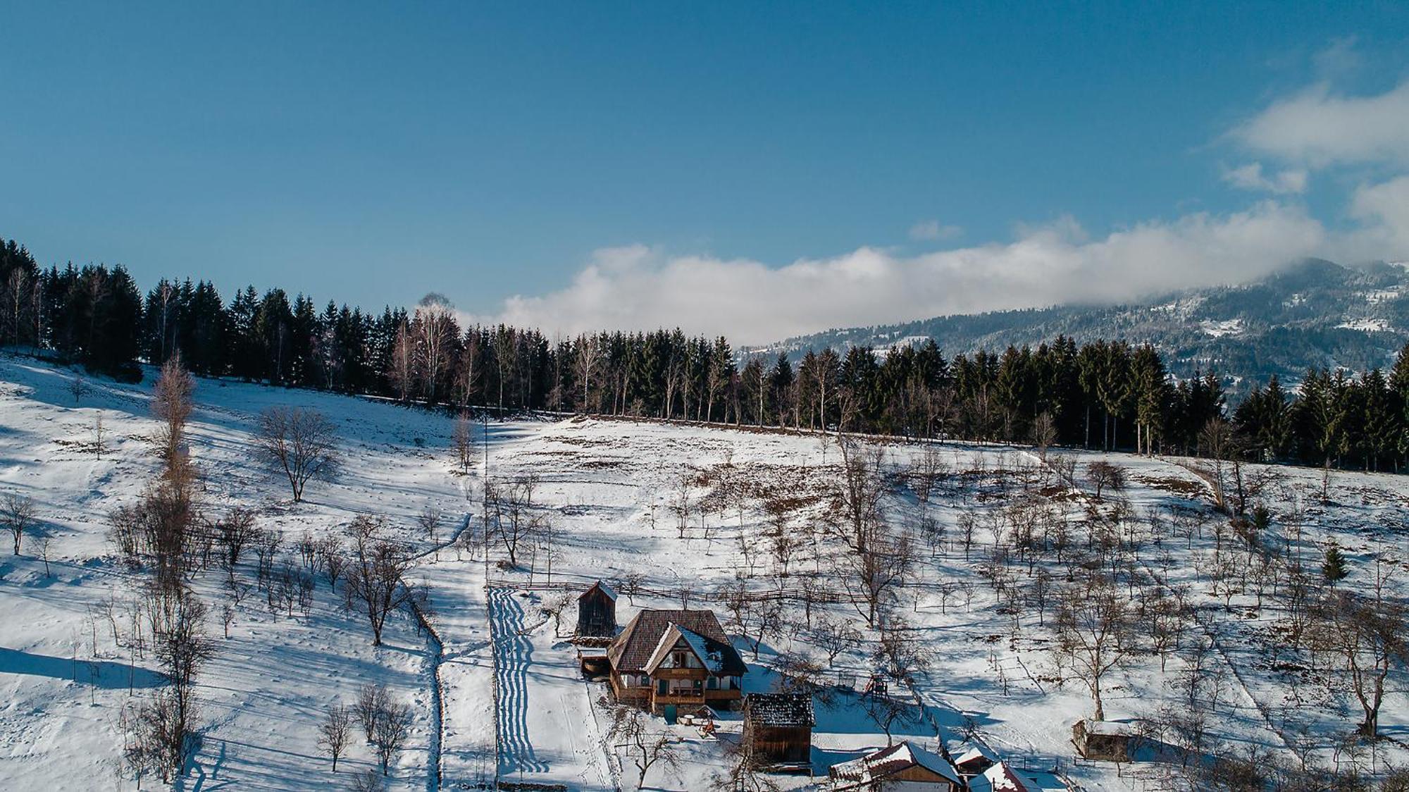 Villa La Bujda Lu Mosu Borşa Esterno foto