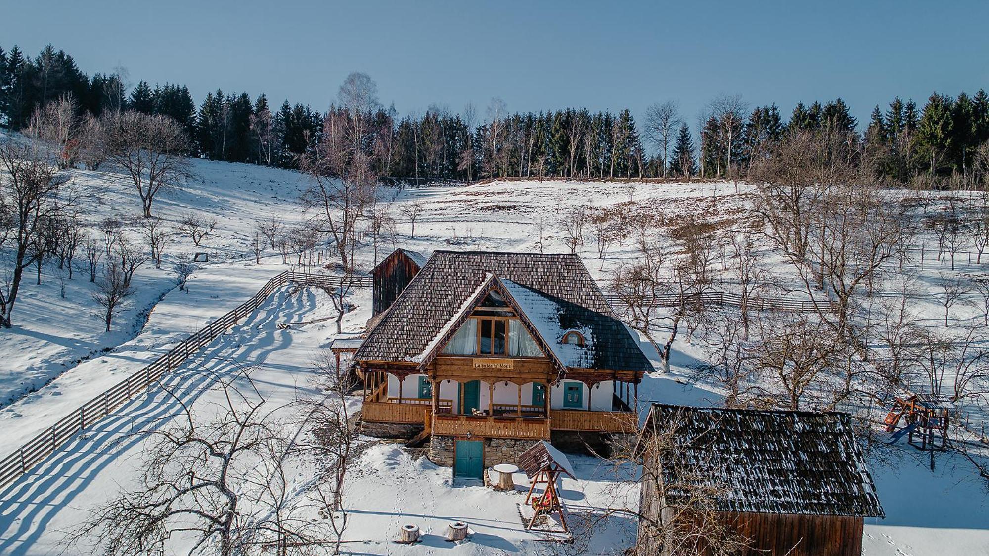 Villa La Bujda Lu Mosu Borşa Esterno foto